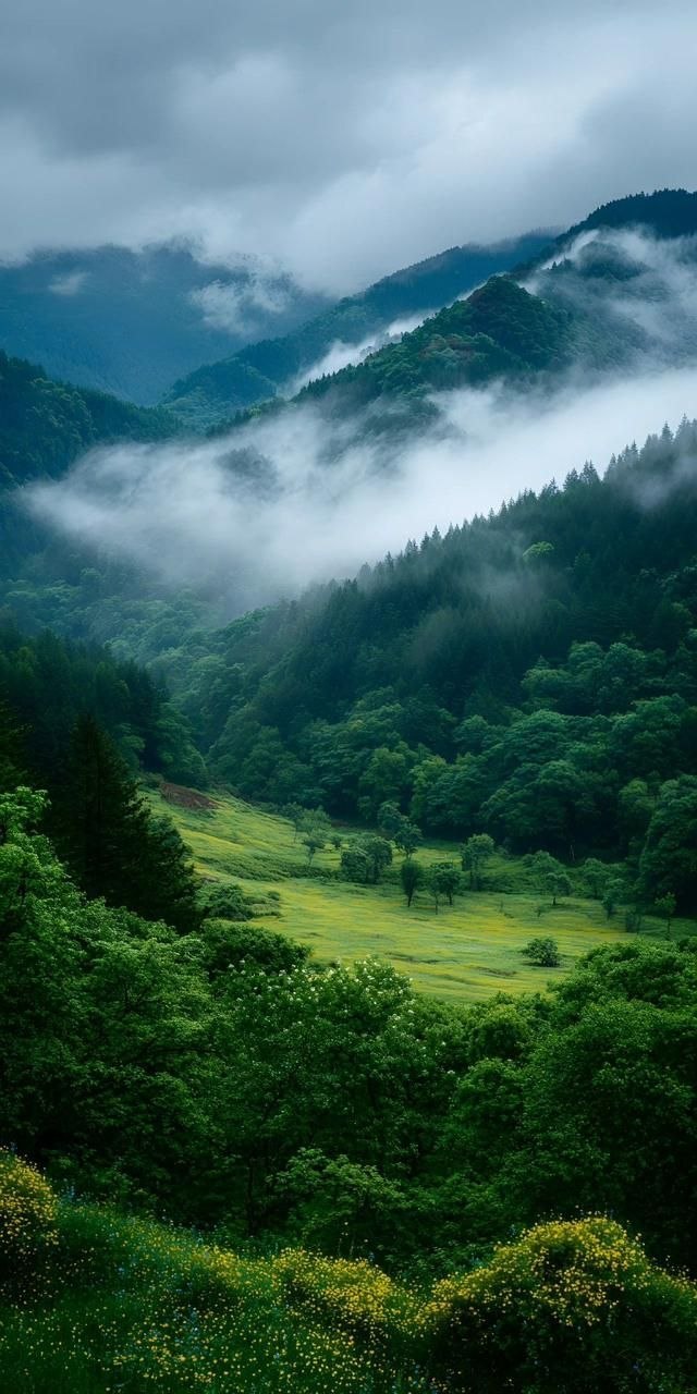 Munnar, Kerala